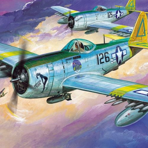 Academy 12281 P-47N SPECIAL EXPECTED GOOSE 1/48