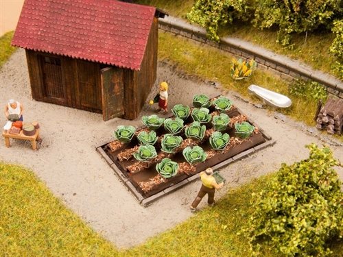 Noch 13217 Hvidkål, 3 x 6 cm, 16 planter, H0 