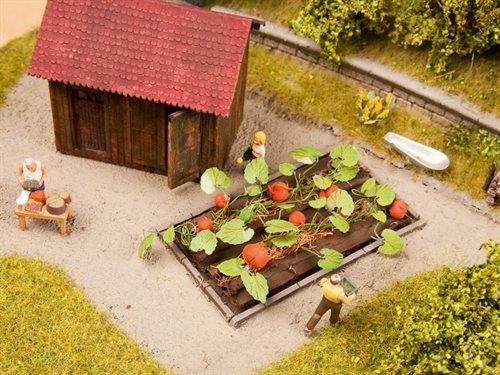 Noch 13219 Græskar, Laser Cut, 8 planter, 3 x 6 cm H0  