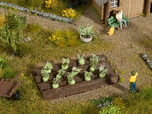 Noch 13220 Kål roer, 3 x 6 cm, 12 planter, H0 