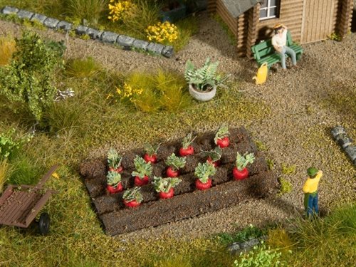 Noch 13221 Radiser, 3 x 6 cm, 12 planter