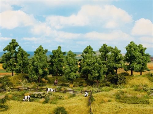 Noch 24603 Løvtræer, 16 stk, 4-10 cm høje, H0/TT/N/Z 