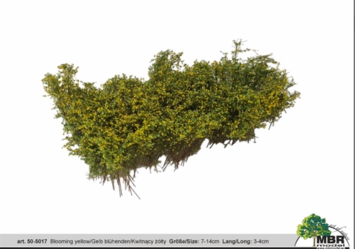 MBR 50-5017 Busk, Blomstrende gul