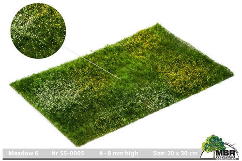 MBR 55-0006 Græsmåtte, Eng, 4-8 mm, str 20 x 30 cm