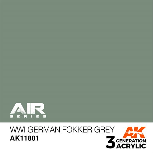 AK 11801 WWI GERMAN FOKKER GREY - AIR, 17 ml