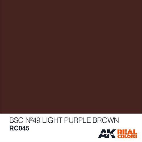 AKRC045 BSC Nº49 LIGHT PURPLE BROWN, 10 ML