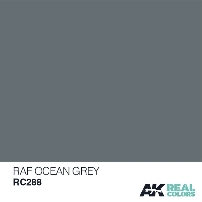 AKRC288 RAF OCEAN GREY – 10 ML