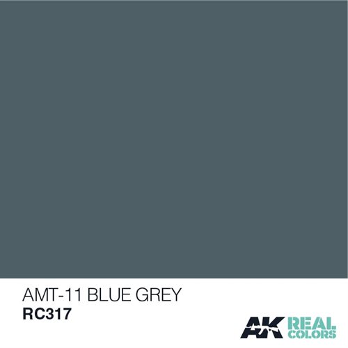 AKRC317 AMT-11 BLUE GREY 10ML