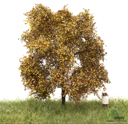 mbr 52-2103 Eg, 6-10 cm, efterår