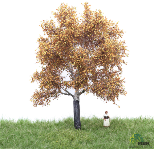 mbr 52-2205 Hvid poppel, 12-16 cm, efterår